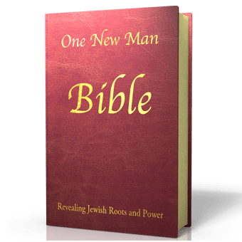 One New Man Bible Synthetic Leather