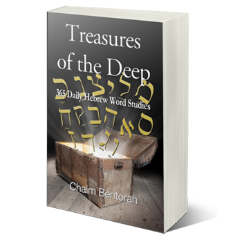 Treasures of the Deep